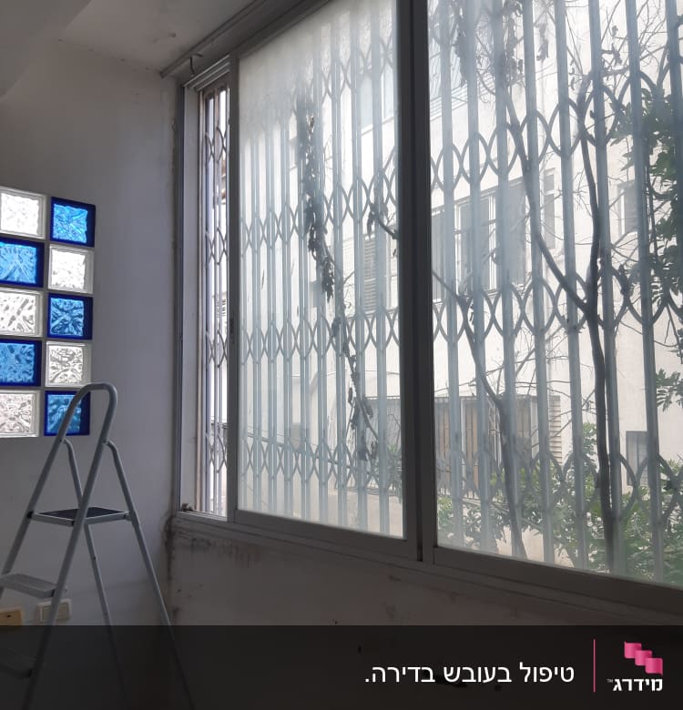 חלון עם סורגים וסולם ליד הקיר